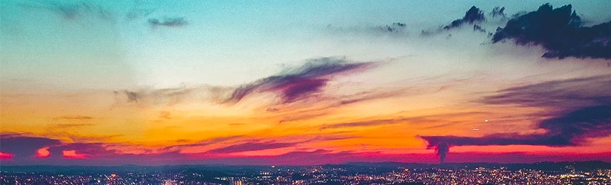 沛县茶虫网_沛县品茶